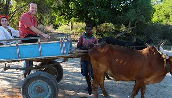 Cart trips in Zébu